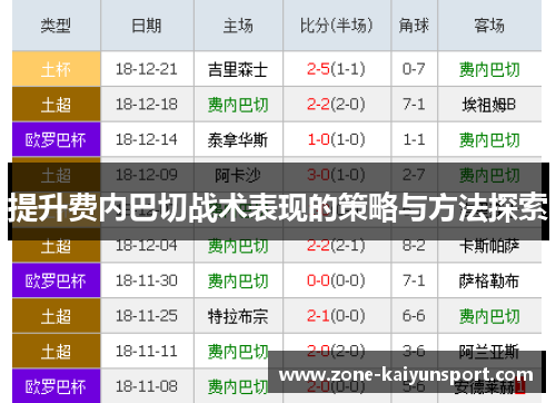 提升费内巴切战术表现的策略与方法探索